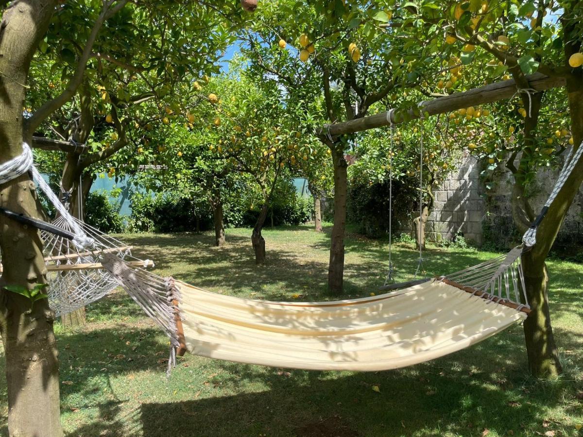 Casa Sorrento, Immerso Nel Verde A Pochi Passi Dal Centro Екстериор снимка