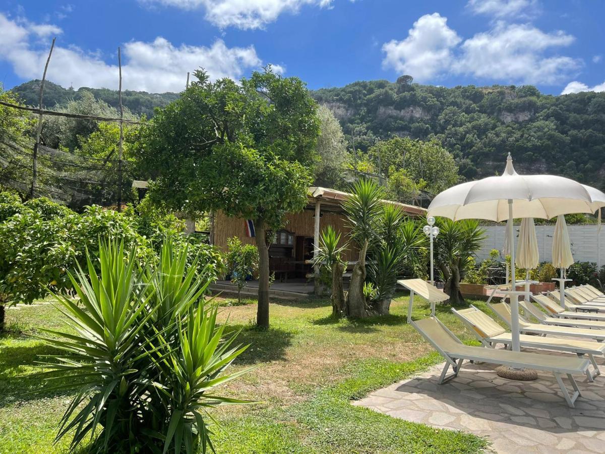 Casa Sorrento, Immerso Nel Verde A Pochi Passi Dal Centro Екстериор снимка