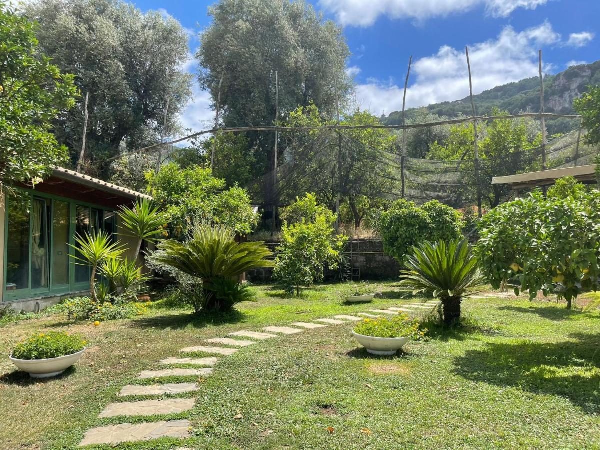 Casa Sorrento, Immerso Nel Verde A Pochi Passi Dal Centro Екстериор снимка
