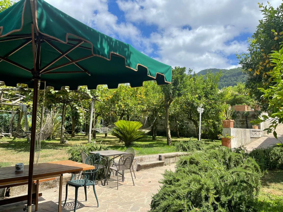 Casa Sorrento, Immerso Nel Verde A Pochi Passi Dal Centro Екстериор снимка